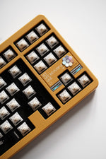 Load image into Gallery viewer, Plato Series: Chapter2.S2
