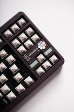 Load image into Gallery viewer, Plato Series: Chapter2.S2
