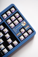 Load image into Gallery viewer, Plato Series: Chapter2.S2
